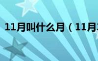 11月叫什么月（11月20日陈鹤年有后人吗）