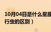 10月04日是什么星座（10月08日步甲虫和步行虫的区别）