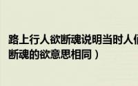 路上行人欲断魂说明当时人们的心情（10月08日路上行人欲断魂的欲意思相同）