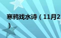 寒鸦戏水诗（11月21日寒鸦戏水讲解及赏析）