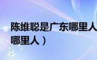 陈维聪是广东哪里人（11月20日陈维聪广东哪里人）