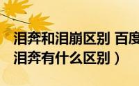 泪奔和泪崩区别 百度文库（11月21日泪崩和泪奔有什么区别）