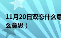 11月20日双恋什么意思啊（11月20日双恋什么意思）