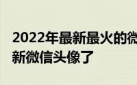 2022年最新最火的微信头像（2022你该换个新微信头像了