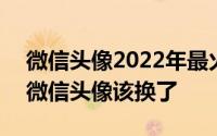 微信头像2022年最火的头像唯美 2022你的微信头像该换了