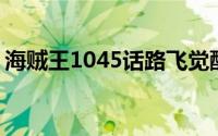 海贼王1045话路飞觉醒 海贼王1044话尼卡）