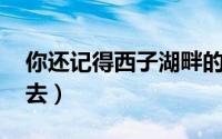 你还记得西子湖畔的夏雨荷吗 夏日江南何处去）