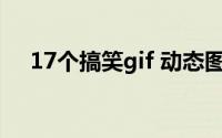 17个搞笑gif 动态图（一切来的太突然）