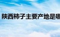 陕西柿子主要产地是哪个县（陕西河南河北）