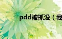 pdd被抓没（我的好友被加爆了