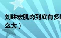 刘畊宏肌肉到底有多硬（刘畊宏的胸为什么这么大）