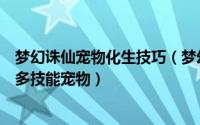 梦幻诛仙宠物化生技巧（梦幻诛仙宠物培养心得之如何打造多技能宠物）