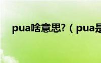 pua啥意思?（pua是什么意思通俗解释）