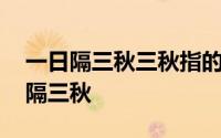 一日隔三秋三秋指的是什么 俗语一日不见如隔三秋