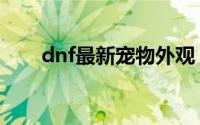 dnf最新宠物外观 宠物幻化即将来袭