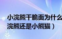 小浣熊干脆面为什么没了 干脆面君究竟是小浣熊还是小熊猫）