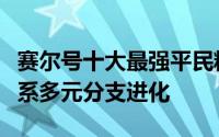 赛尔号十大最强平民精灵（赛尔号神奇的普通系多元分支进化