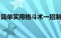 简单实用格斗术一招制敌 特种兵的格斗招式）