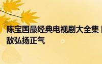 陈宝国最经典电视剧大全集 陈宝国主演演绎强者风范英雄无敌弘扬正气