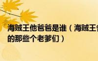 海贼王他爸爸是谁（海贼王各位爸爸的实力排行：盘点剧中的那些个老爹们）