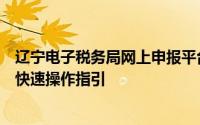 辽宁电子税务局网上申报平台（辽宁省电子税务局纳税人端快速操作指引