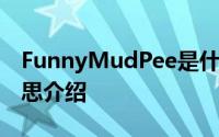 FunnyMudPee是什么梗 FunnyMudPee意思介绍