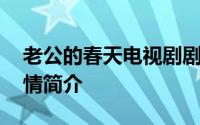 老公的春天电视剧剧情 老公的春天电视剧剧情简介