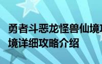 勇者斗恶龙怪兽仙境攻略（勇者斗恶龙怪兽仙境详细攻略介绍