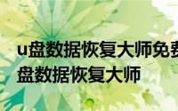 u盘数据恢复大师免费中文官方版 试了10款u盘数据恢复大师