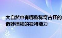 大自然中有哪些稀奇古怪的植物（大自然真实存在着的8种奇妙植物的独特能力