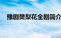 豫剧樊梨花全剧简介 梨园老故事宋桂玲）