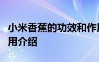 小米香蕉的功效和作用（小米香蕉的功效和作用介绍