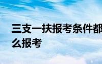 三支一扶报考条件都有哪些 三支一扶计划怎么报考