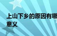 上山下乡的原因有哪些 上山下乡的五大积极意义