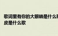 歌词里有你的大眼睛是什么歌 你有你的大眼睛我有我的单眼皮是什么歌