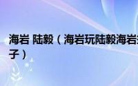 海岩 陆毅（海岩玩陆毅海岩捧红陆毅佟大为却捧不红自己儿子）