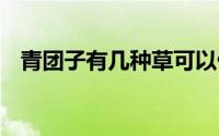 青团子有几种草可以做 青团能用什么草做