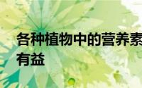 各种植物中的营养素 这些植物营养素对人体有益