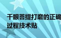 千眼菩提打磨的正确方法 一篇千眼菩提打磨过程技术贴