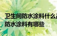 卫生间防水涂料什么品牌最好（卫生间常见的防水涂料有哪些