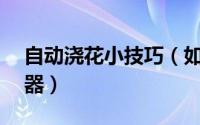 自动浇花小技巧（如何自制60天自动浇花神器）