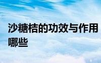 沙糖桔的功效与作用（沙糖桔的功效与作用有哪些