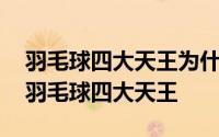 羽毛球四大天王为什么消失了 你必须知道的羽毛球四大天王