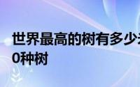 世界最高的树有多少米高 盘点世界上最高的10种树