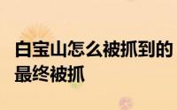 白宝山怎么被抓到的 逃亡1年半的白宝山为何最终被抓