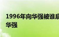 1996年向华强被谁扇了巴掌 曾在北京扇了向华强