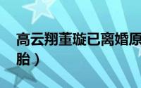 高云翔董璇已离婚原因是什么 董璇疑似怀二胎）