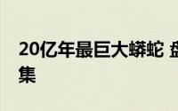 20亿年最巨大蟒蛇 盘点惨死的巨型大蟒蛇图集