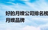 好的月嫂公司排名榜 专业月嫂公司认准十大月嫂品牌