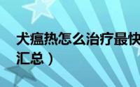 犬瘟热怎么治疗最快最有效 犬瘟热治疗方案汇总）